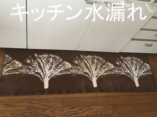 キッチン水漏れ
