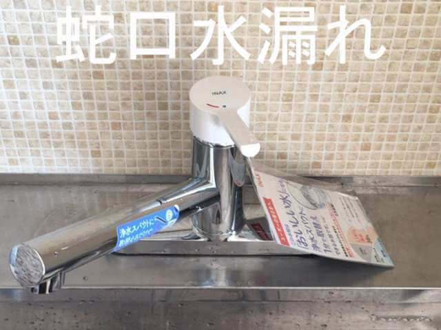 蛇口水漏れ