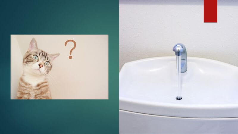 手洗い管の寿命ってどれくらいなの？