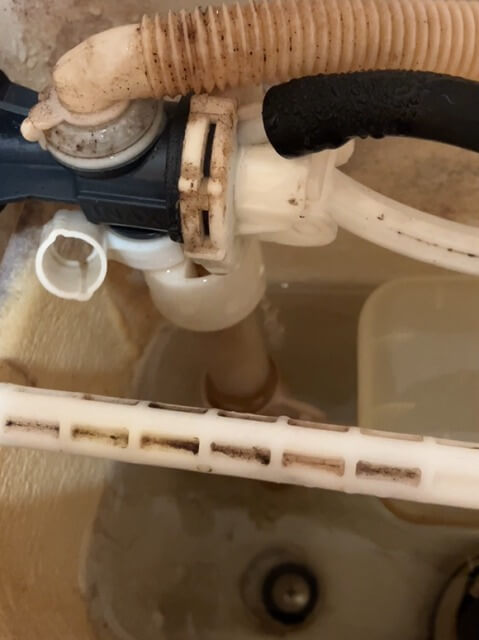 2025-12-19-GDT-2810-5