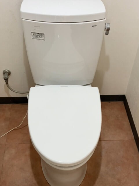 2026-1-2-clogged-toilet-1