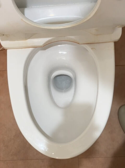 2026-1-2-clogged-toilet-15