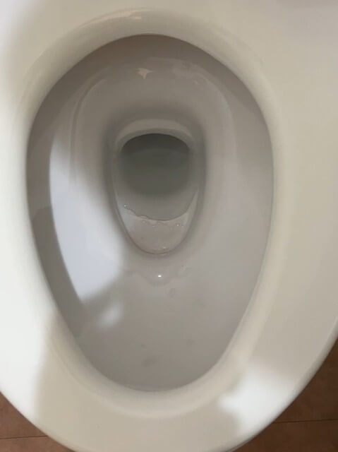 2026-1-2-clogged-toilet-2