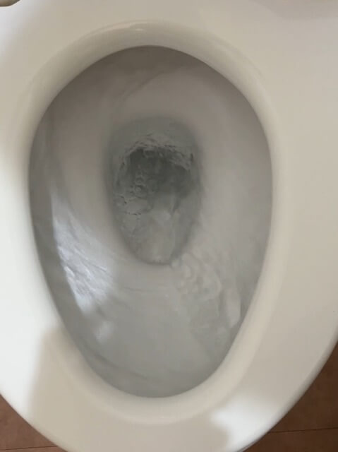 2026-1-2-clogged-toilet-3