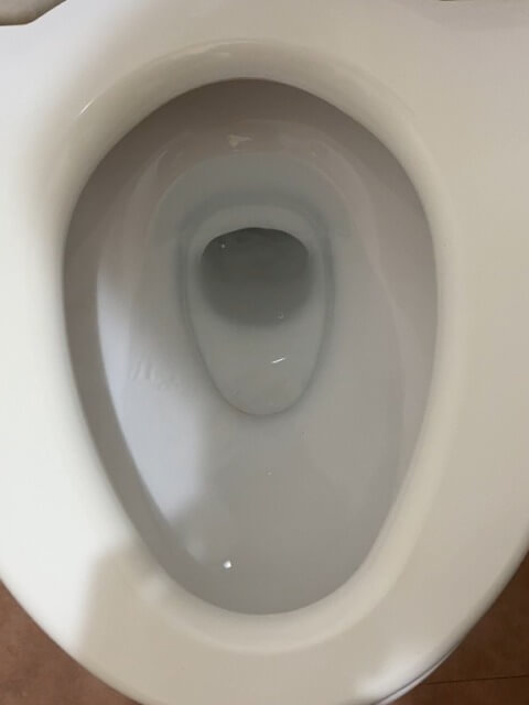 2026-1-2-clogged-toilet-4