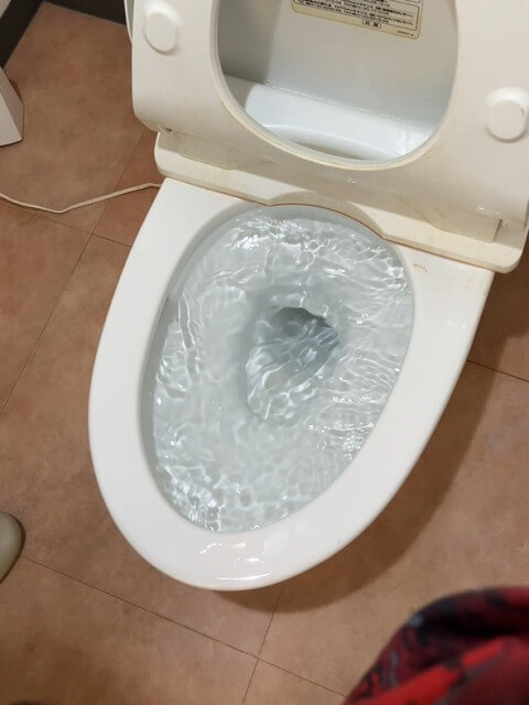 2026-1-2-clogged-toilet-8