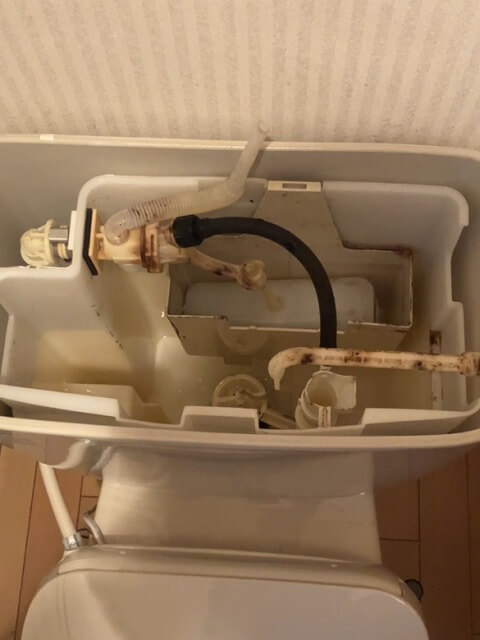 2026-2-20-DT-4870-10