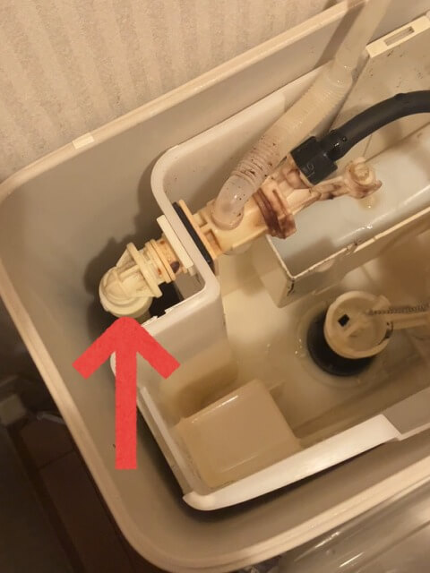 2026-2-20-DT-4870-12