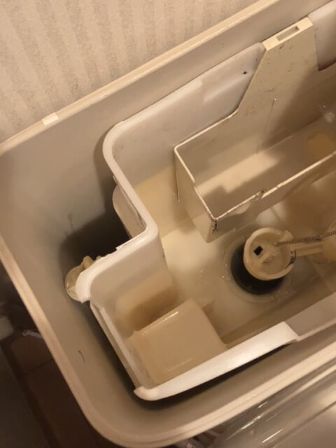 2026-2-20-DT-4870-15