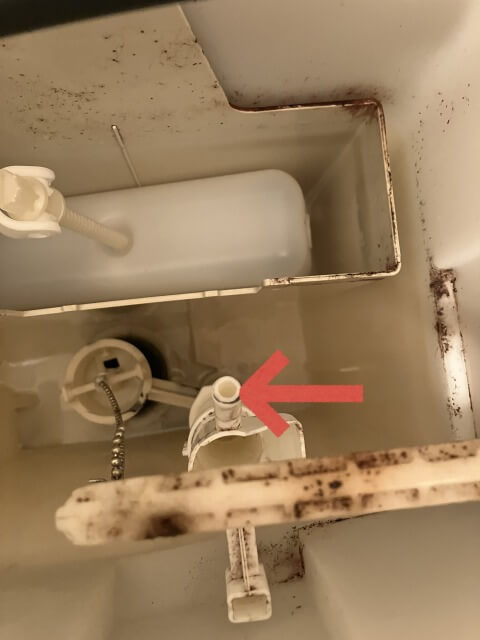 2026-2-20-DT-4870-20