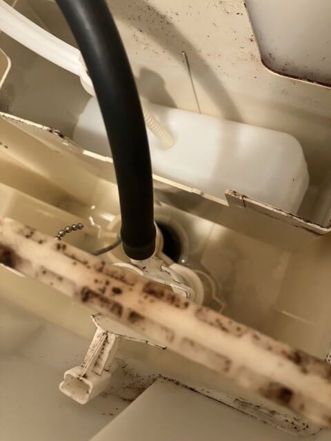 2026-2-20-DT-4870-21